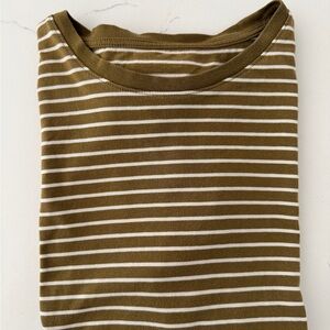 Everlane Olive and White Striped Short Sleeve Tee